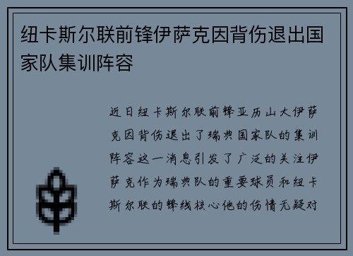 纽卡斯尔联前锋伊萨克因背伤退出国家队集训阵容